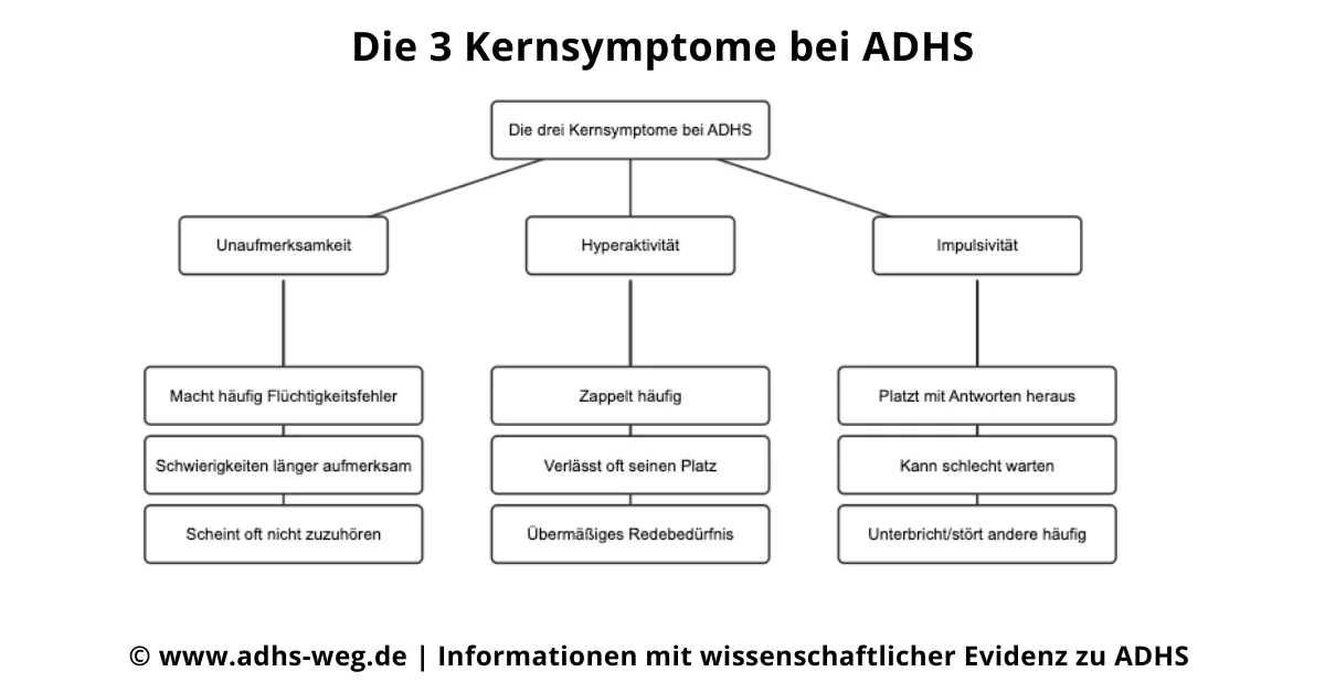 3 Kernsymptome ADHS